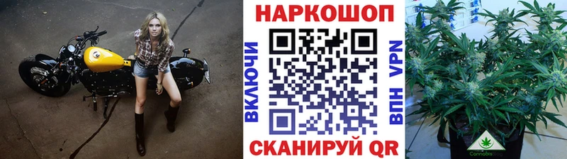 Где можно купить наркотики Пучеж Гашиш  Кокаин  Alpha-PVP  Канабис  Меф мяу мяу 