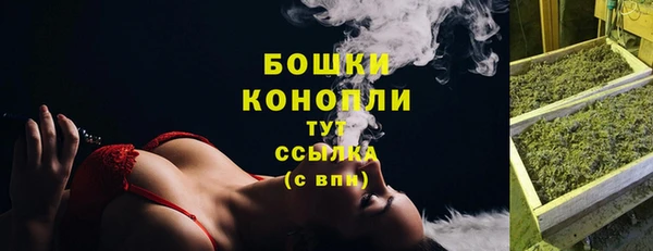 ПСИЛОЦИБИНОВЫЕ ГРИБЫ Балабаново