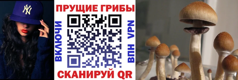 Псилоцибиновые грибы мухоморы  Пучеж 